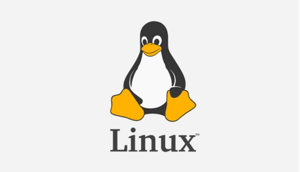 Linux虚拟机链接特别慢的解决方案